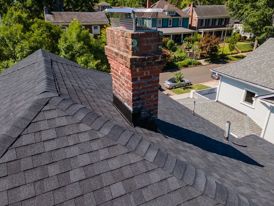 Animals in the Attic? How to Keep Critters Out with Custom Roof Solutions