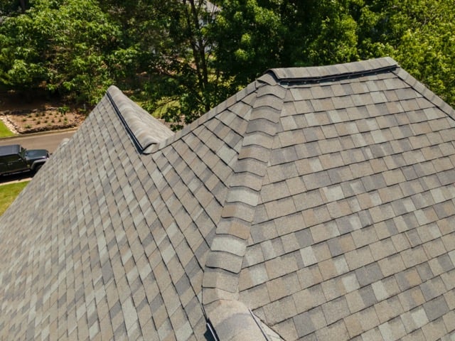 Roof Repairs 101: DIY vs. Hiring a Professional