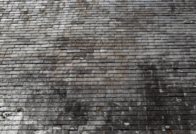 pollen buildup on roof