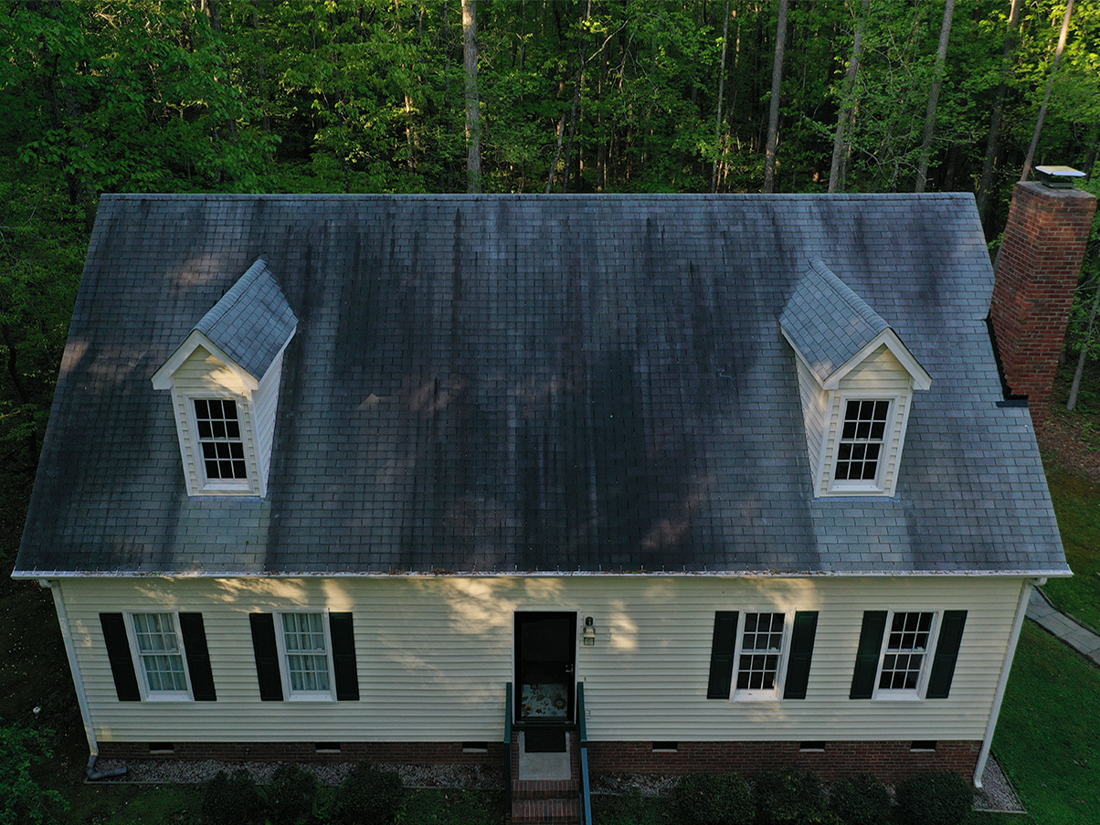 Mold, mildew, and algae resistant roofing